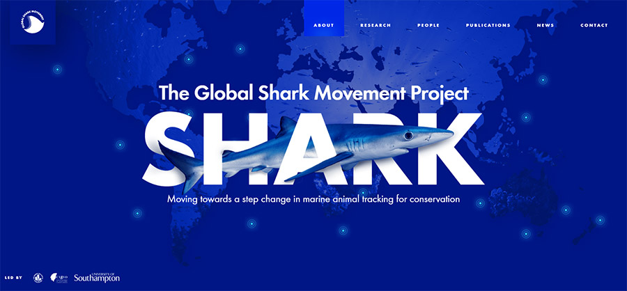 The Global Shark Movement Project (GSMP)